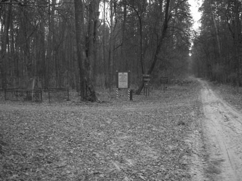 фото: Закревський бір